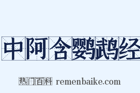 中阿含鹦鹉经是什么意思的图片